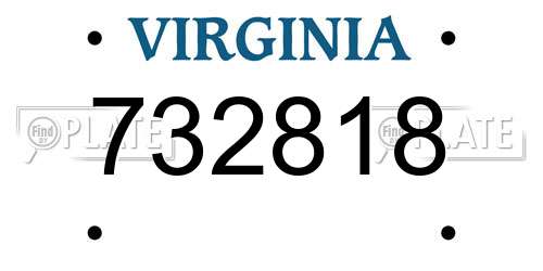732818 Virginia License Plate