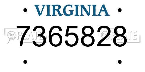 7365828 Virginia License Plate