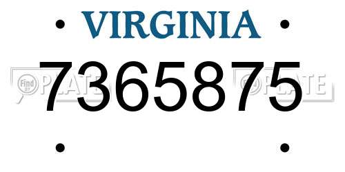 7365875 Virginia License Plate