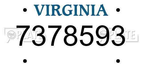 7378593 Virginia License Plate