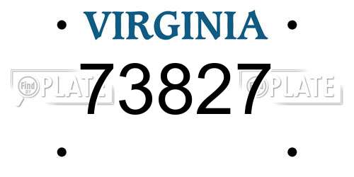 73827 Virginia License Plate