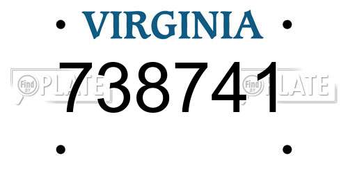 738741 Virginia License Plate
