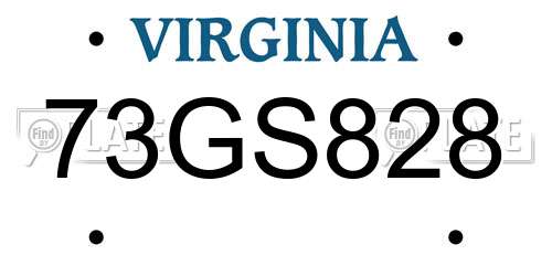 73GS828 Virginia License Plate