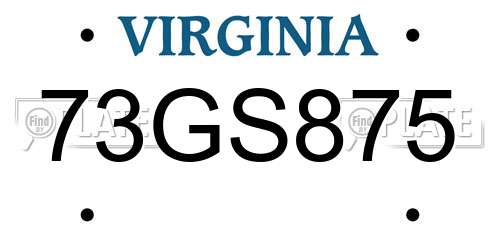 73GS875 Virginia License Plate