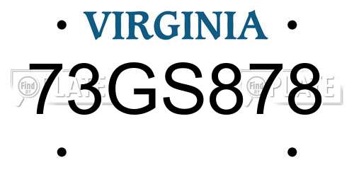 73GS878 Virginia License Plate