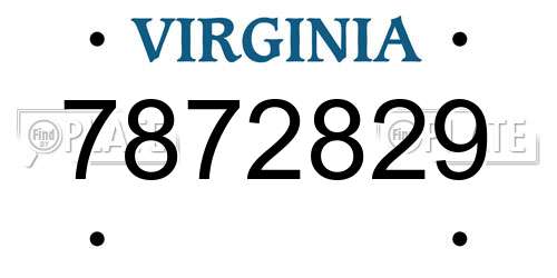7872829 Virginia License Plate