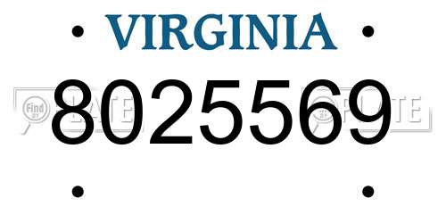 8025569 Virginia License Plate