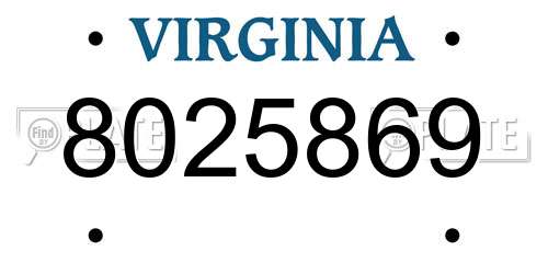 8025869 Virginia License Plate