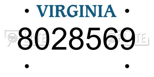 8028569 Virginia License Plate