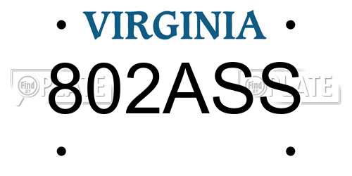 802ASS Virginia License Plate