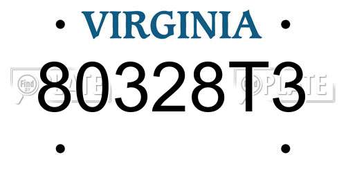 80328T3 Virginia License Plate