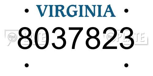 8037823 Virginia License Plate