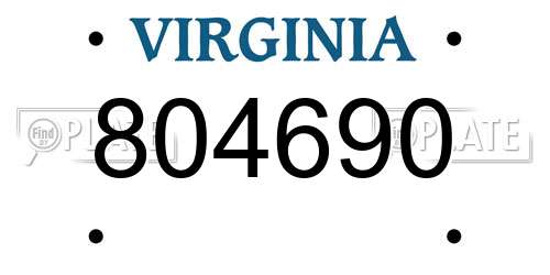 804690 Virginia License Plate