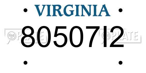 80507I2 Virginia License Plate