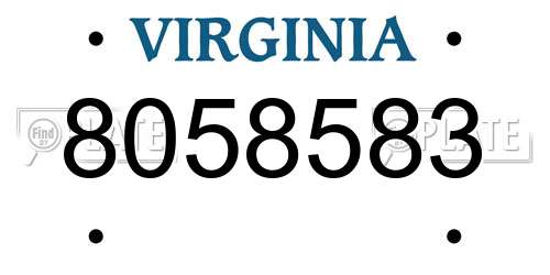 8058583 Virginia License Plate