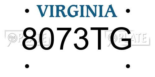 8073TG Virginia License Plate