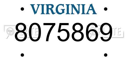 8075869 Virginia License Plate