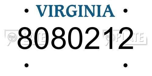 8080212 Virginia License Plate