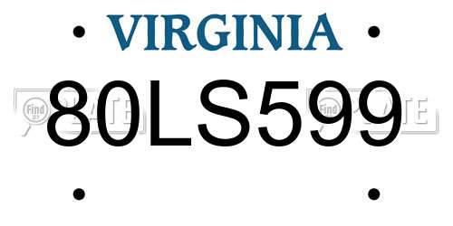 80LS599 Virginia License Plate