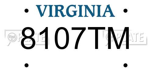 8107TM Virginia License Plate