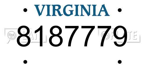 8187779 Virginia License Plate