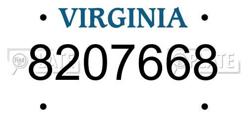 8207668 Virginia License Plate