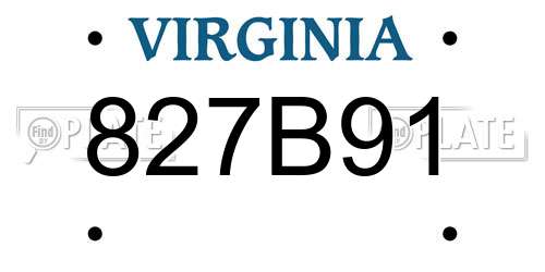 827B91 Virginia License Plate
