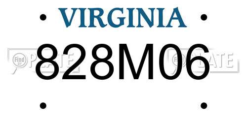 828M06 Virginia License Plate