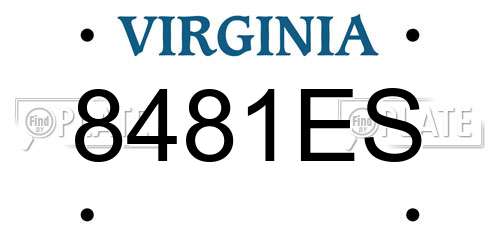 8481ES Virginia License Plate
