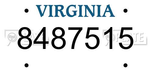 8487515 Virginia License Plate