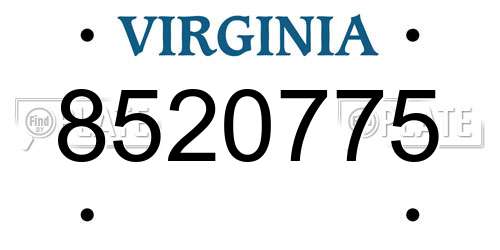 8520775 Virginia License Plate