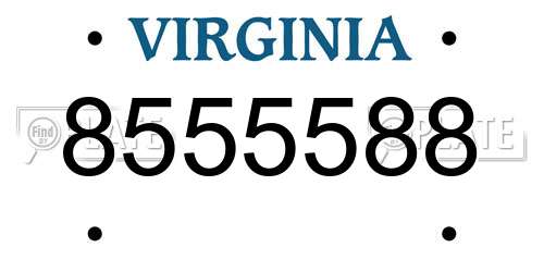 8555588 Virginia License Plate