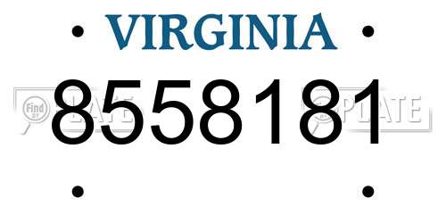 8558181 Virginia License Plate