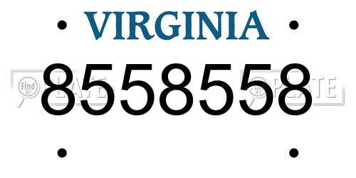8558558 Virginia License Plate