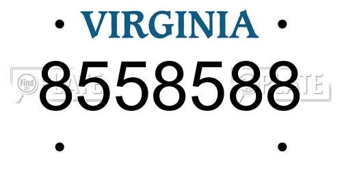 8558588 Virginia License Plate
