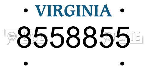 8558855 Virginia License Plate