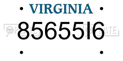 85655I6 Virginia License Plate