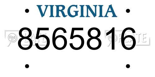 8565816 Virginia License Plate