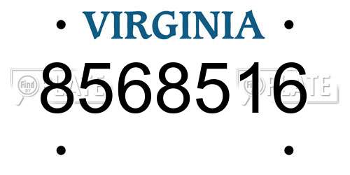 8568516 Virginia License Plate