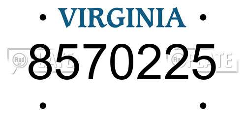 8570225 Virginia License Plate