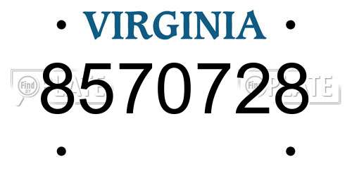 8570728 Virginia License Plate