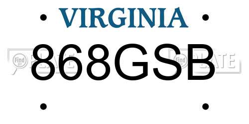 868GSB Virginia License Plate
