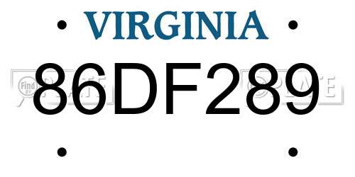 86DF289 Virginia License Plate