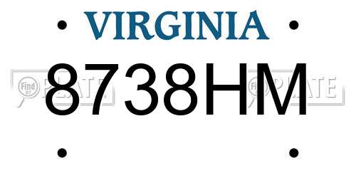 8738HM Virginia License Plate