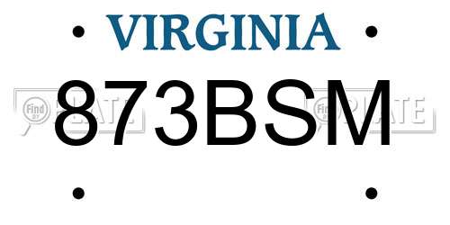 873BSM Virginia License Plate