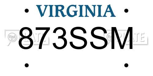 873SSM Virginia License Plate