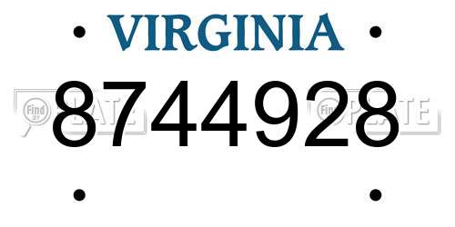 8744928 Virginia License Plate