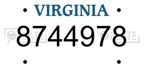 8744978 Virginia License Plate