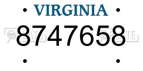 8747658 Virginia License Plate