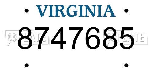 8747685 Virginia License Plate